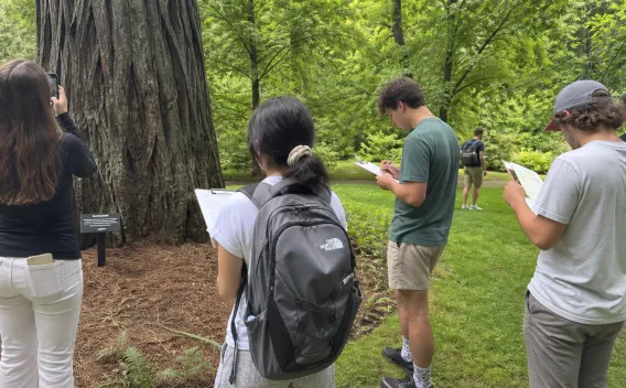 students studying in the arboretum